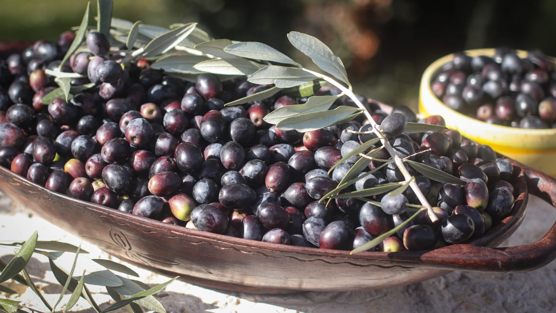 olive nere in salamoia