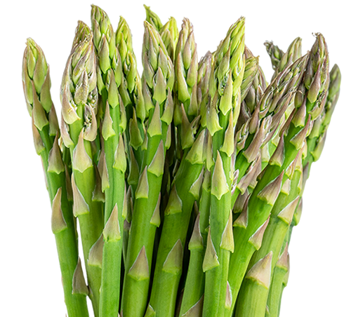 asparagi verdi fattoria dei sapori