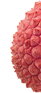 lychees allo sciroppo 565g