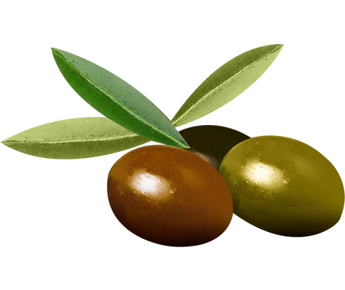 olive taggiasche fattoria dei sapori